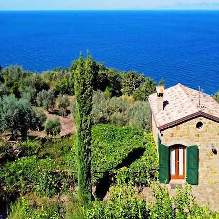 Bellezza In Cilento Panoramic Apts Castellabate Luaran gambar