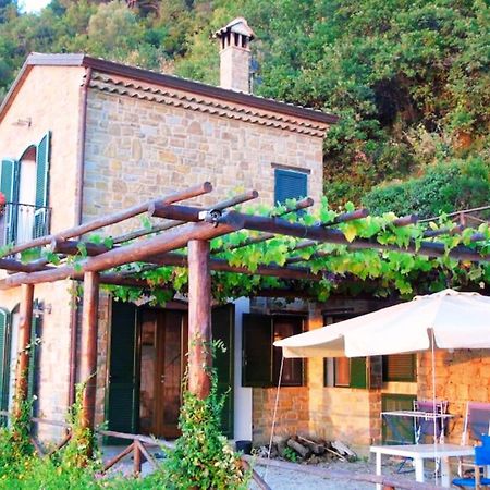 Bellezza In Cilento Panoramic Apts Castellabate Luaran gambar