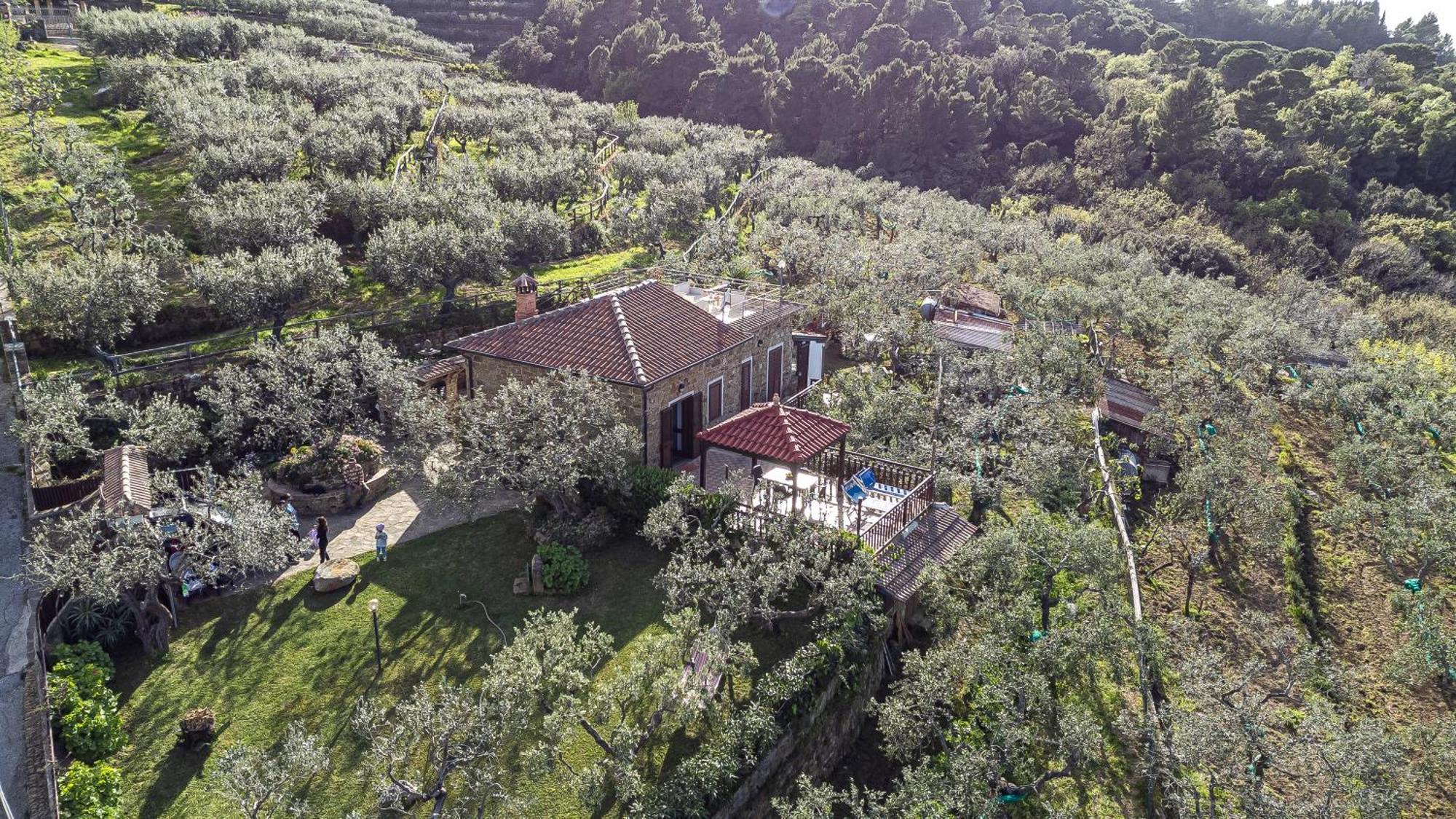 Bellezza In Cilento Panoramic Apts Castellabate Luaran gambar