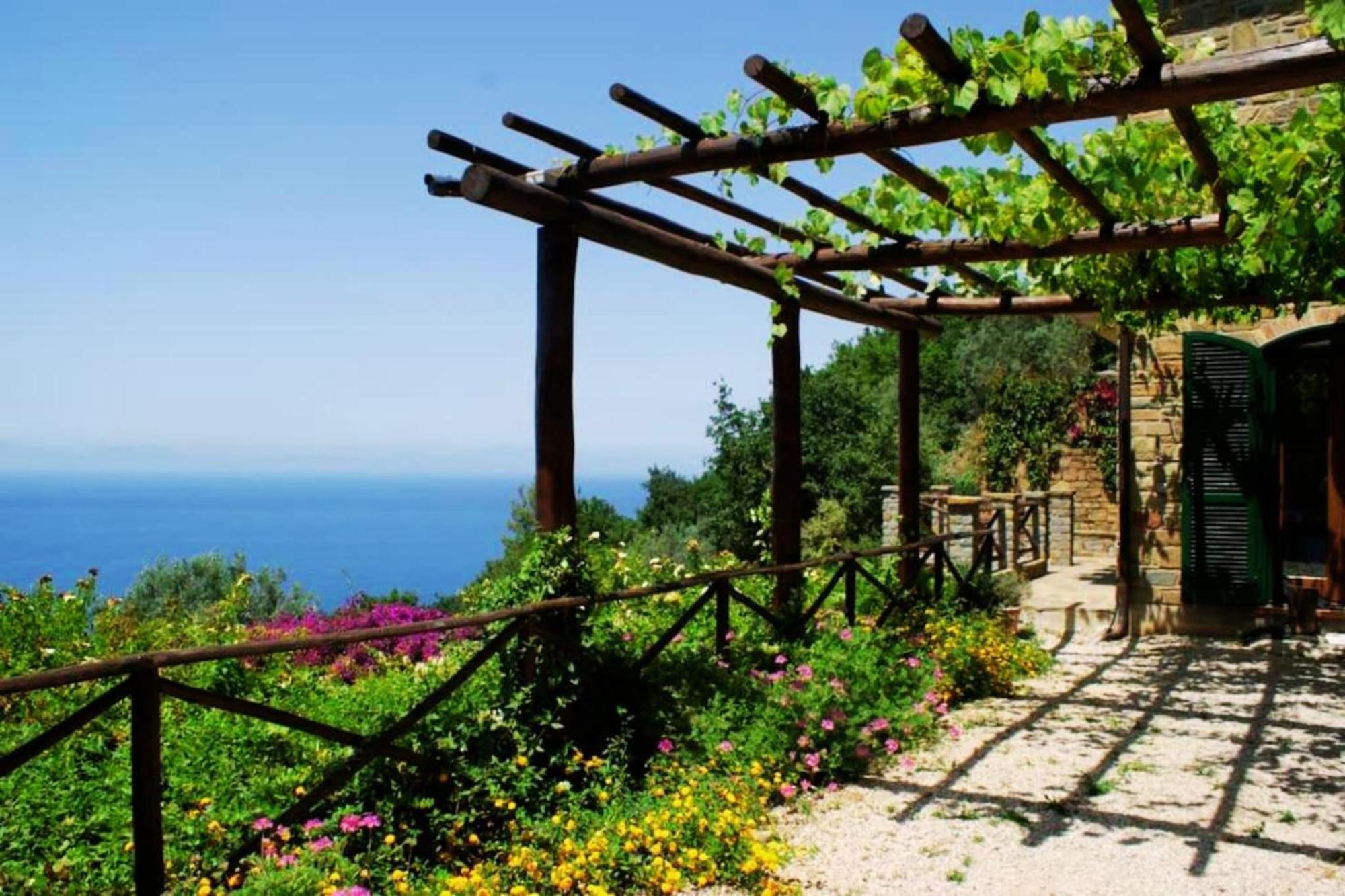Bellezza In Cilento Panoramic Apts Castellabate Luaran gambar