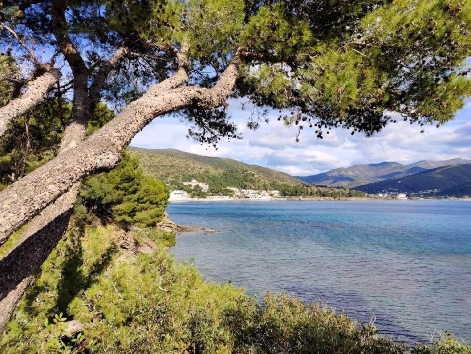 Bellezza In Cilento Panoramic Apts Castellabate Luaran gambar