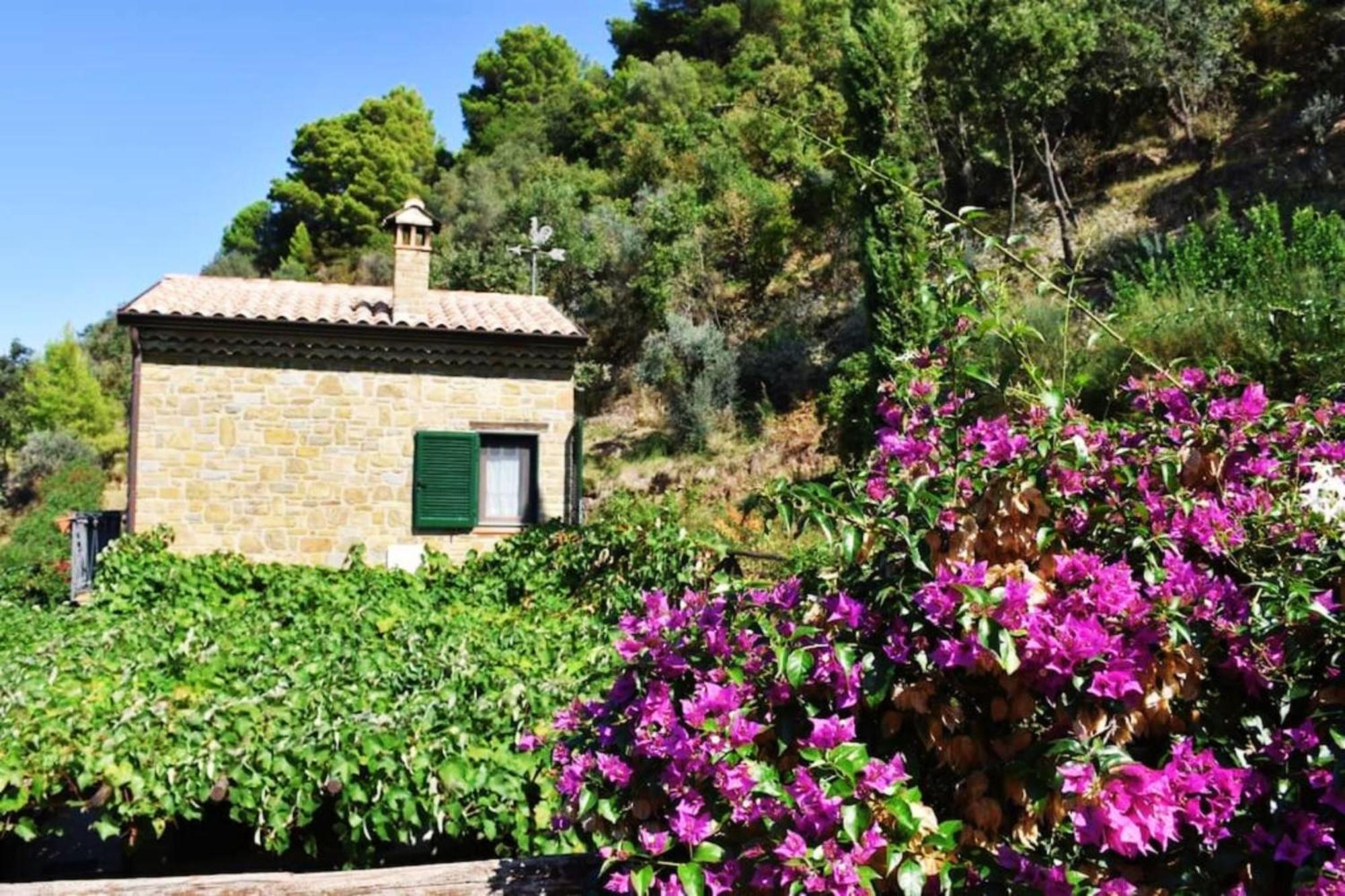Bellezza In Cilento Panoramic Apts Castellabate Luaran gambar