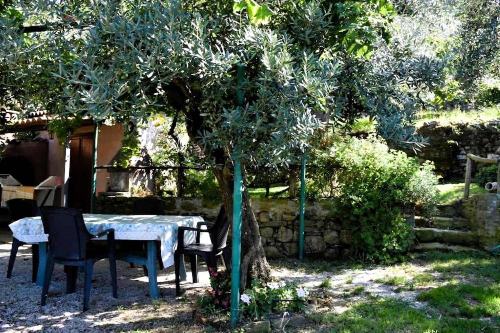 Bellezza In Cilento Panoramic Apts Castellabate Luaran gambar